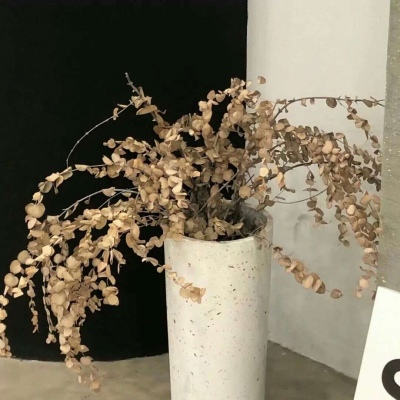 兽设山谷场景创作福瑞交流群